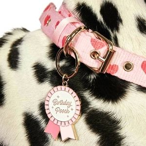 Shiney Gold & Pink Birthday Dog Tag by Birthday Pooch